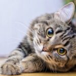 「1日20ポスト」なんて信じるな。稼ぎたいなら1日1記事、魂込めろ。