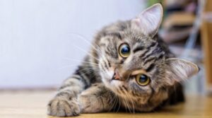 「1日20ポスト」なんて信じるな。稼ぎたいなら1日1記事、魂込めろ。